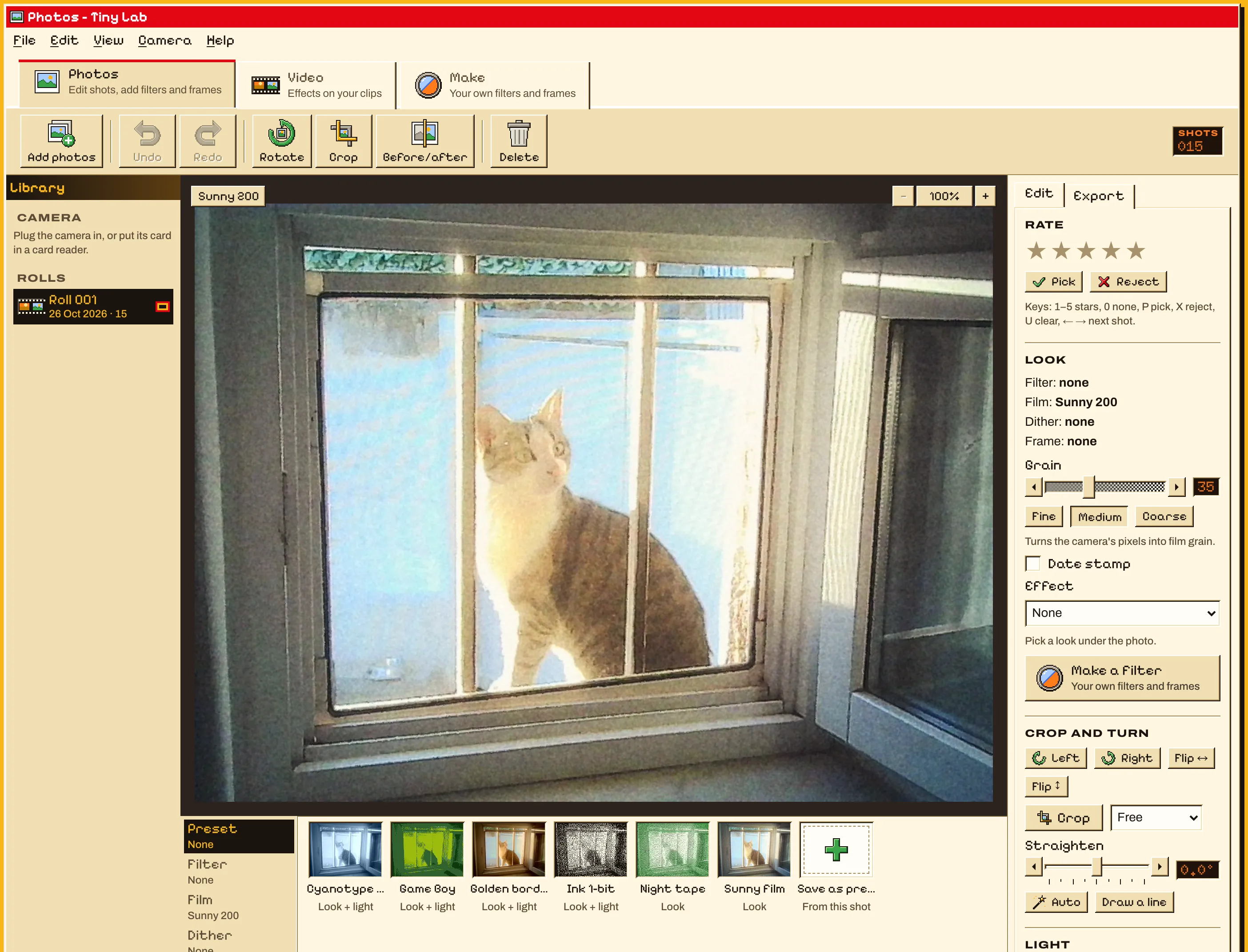 Tiny Lab with a cat at a window, in Sunny 200