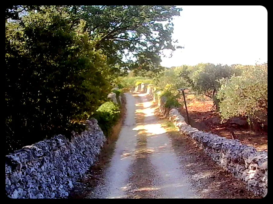 A country lane between stone walls, with a black rounded border